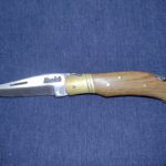 I got this but idk what I should be doing