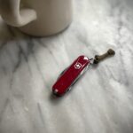 Lazy morning companion