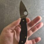 The Spyderco Urban!