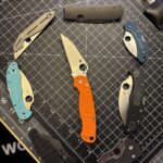 The king of Wharnies has arrived