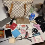 Sadly my cat does not fit in my purse