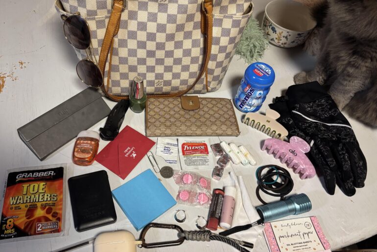 Sadly my cat does not fit in my purse