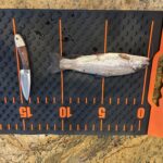 Theres nothing better than this