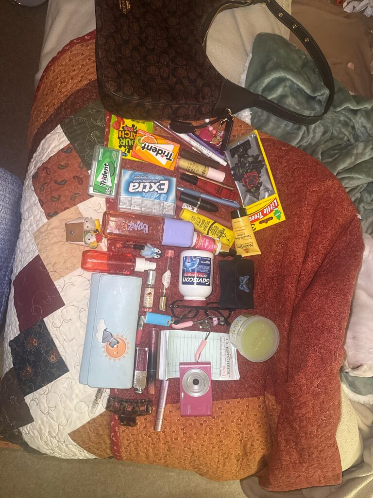 What does the contents of My everyday purse say about me