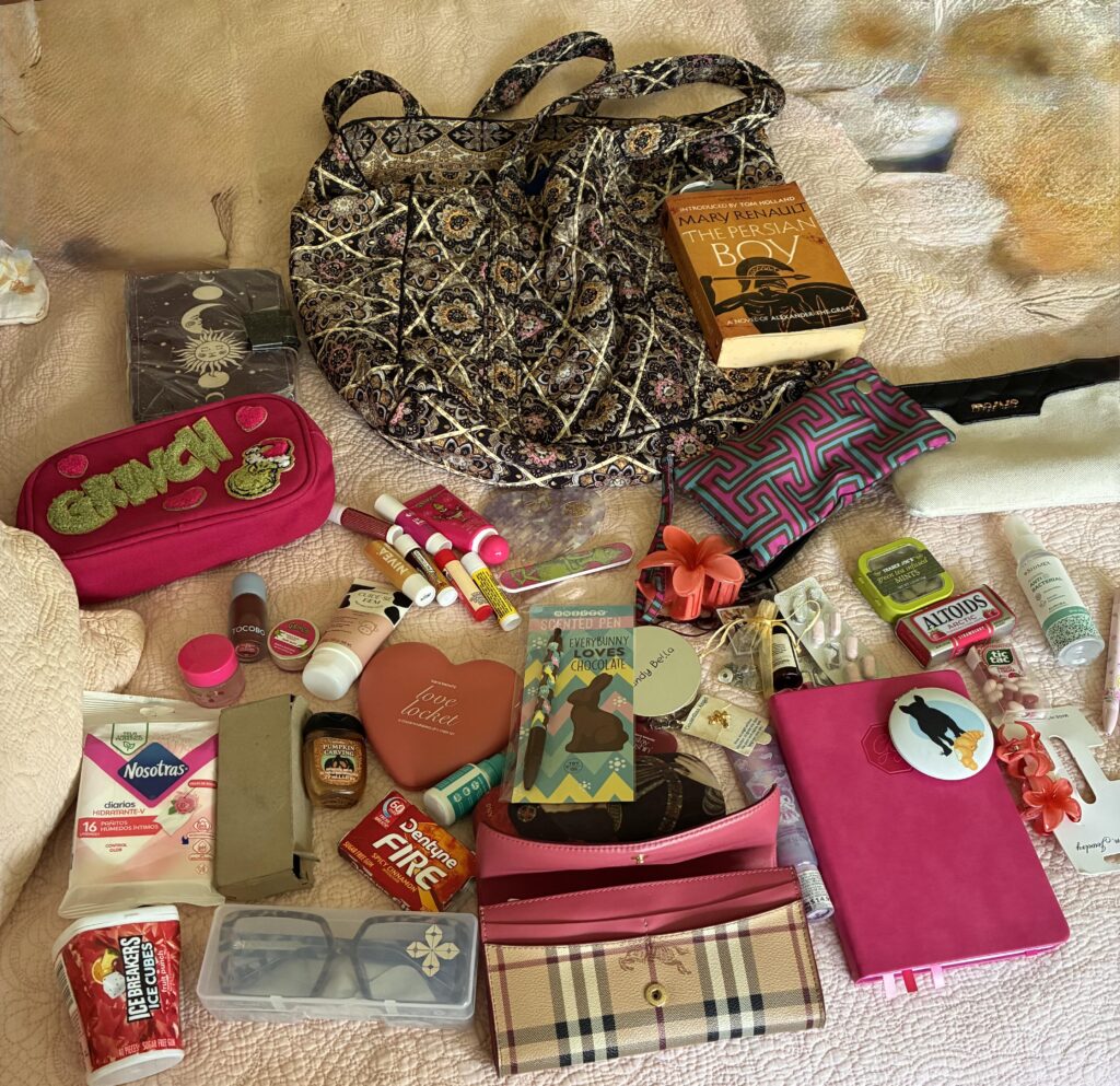 My everyday non designer bag . What do you think?