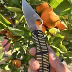 Spyderco Salt Para 3