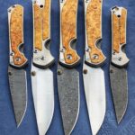 Some Sebenzas box elder 🍁