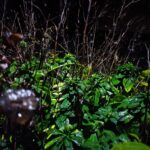 Need a recommendation