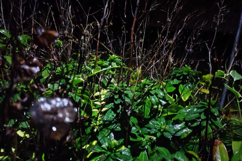 Need a recommendation