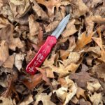 What’s in everyone’s pocket this fine Sunday?