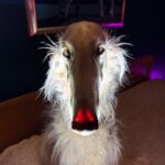 It's been 10 YEARS and there STILL isn't a powerful USB C RGB flashlight. Why is it impossible?