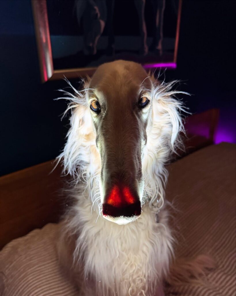 It's been 10 YEARS and there STILL isn't a powerful USB C RGB flashlight. Why is it impossible?