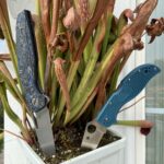 The knife I promised myself I'd carry vs. the knife I always end up carrying instead.