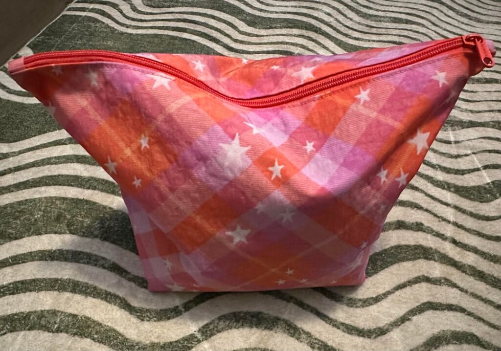 What’s in the bag…knitting edition.