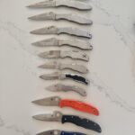 Anyone else obsessed with stainless spydercos?