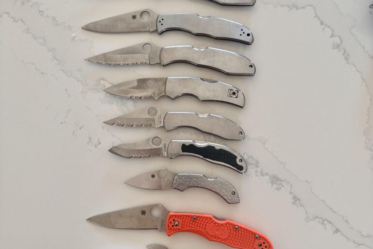 Anyone else obsessed with stainless spydercos?