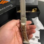 Buck 110 Drop Point Stag Handle, brush bolsters