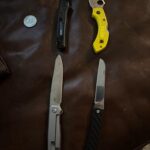 Which would you rather have