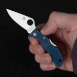 Spyderco Ladybug vs Honeybee for a keychain?