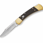 Buck 110, benchmade bugout or something else for retirement present?