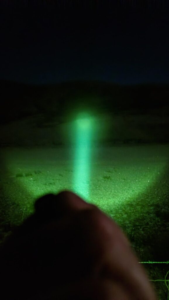 Giving it Green 🫛 somewhere in Scotland 🏴󠁧󠁢󠁳󠁣󠁴󠁿