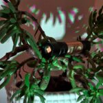 S2+ quad mule: my first successful build