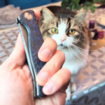 My cat and NKD