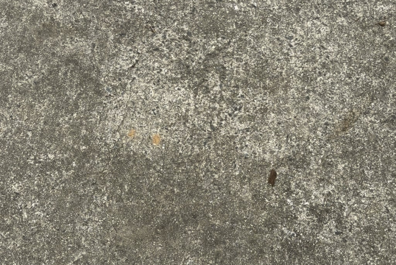 Finished the Roosevelt today.