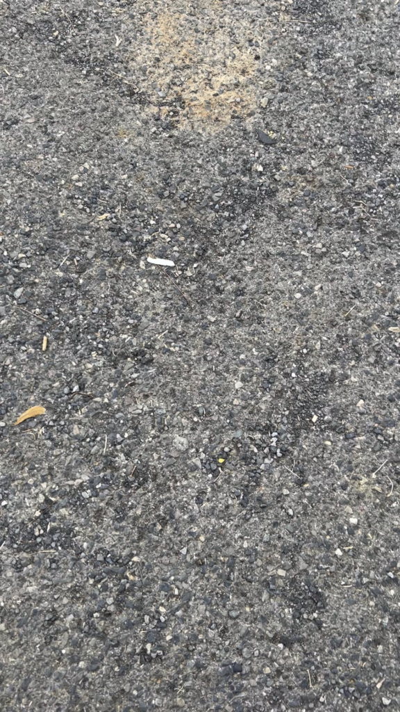 Time to spark it up.