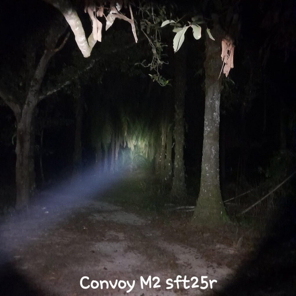 Which one do you prefer?