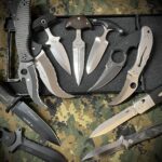 SOTC (Sliver of The Collection)