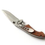 Looking for a good everyday carry pocket knife as a tool and as a self-defense weapon.