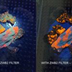 True 365nm UV vs “regular” UV, the difference is obvious