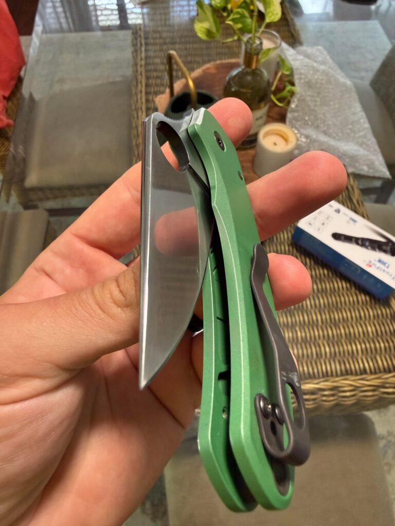Para 3 crowned spine and flipper mod