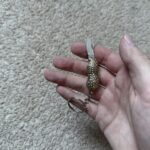 What are we carrying today boys?