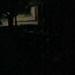 The realities of night time walks down under 🌏