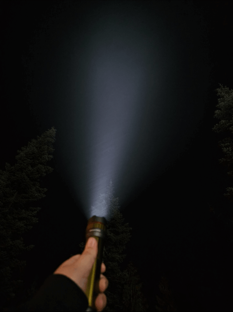 Gotta love some fog