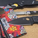 Wednesday Carry. What you got?