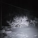 Got this magnificent thing for 3.5€ on Temu just to reach the required amount for free delivery. Had power outages during the Hollidays, worked out of the box for at least 7 hours and had some power left. Its rechargeable, USB C.