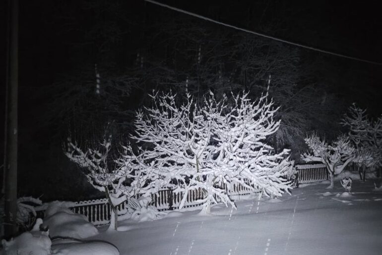 Got this magnificent thing for 3.5€ on Temu just to reach the required amount for free delivery. Had power outages during the Hollidays, worked out of the box for at least 7 hours and had some power left. Its rechargeable, USB C.