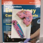 Weekend paramedic study carry