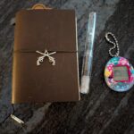 Snowmageddon '26 Carry