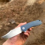 Petrified fish victor