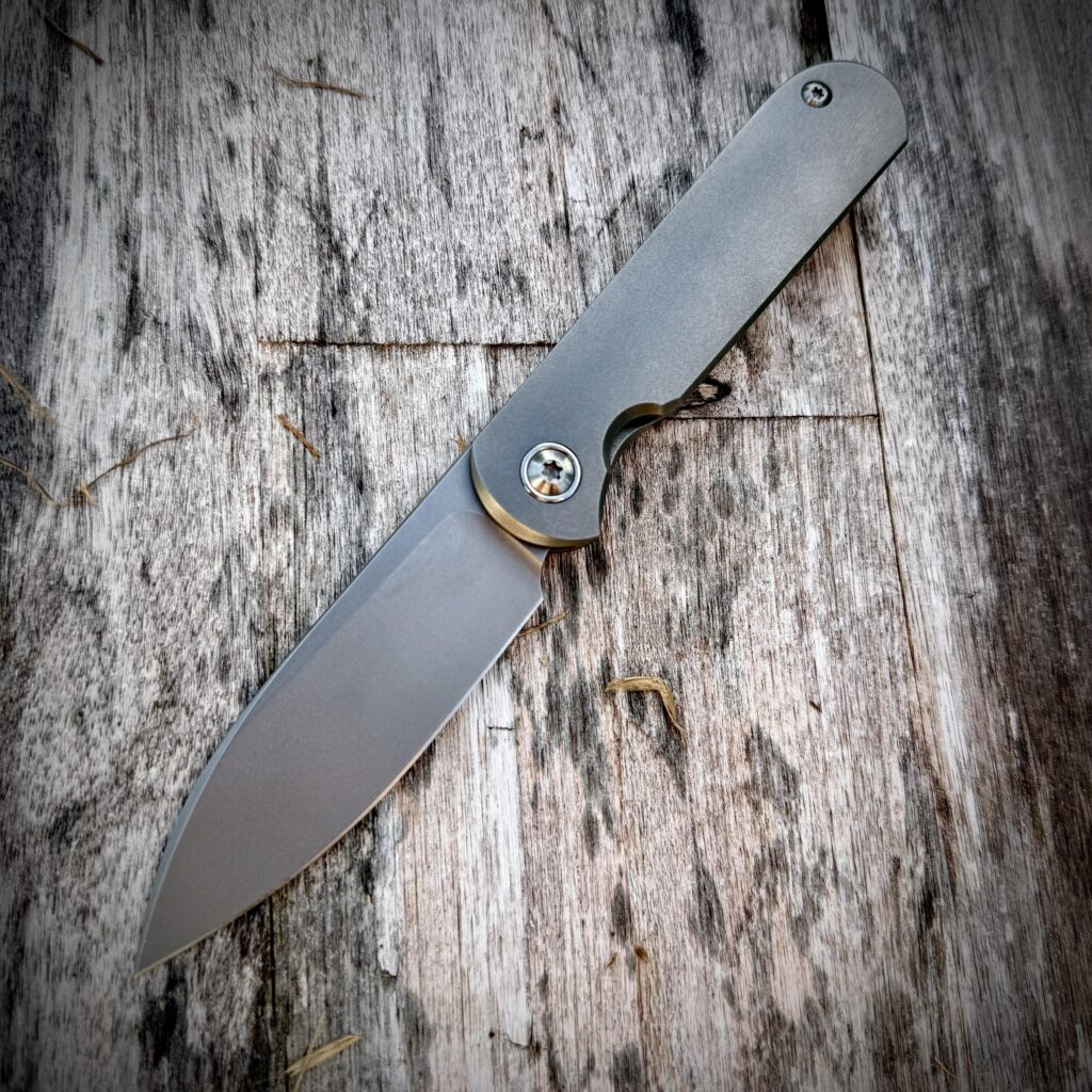 Since I keep seeing Shams lately, Shamwari Saturday!