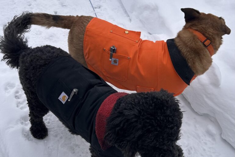 EDC Every Dog Carries