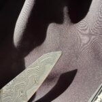 Committed Cardinal Sin