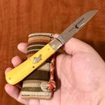 Titusville Tuesday 🤨