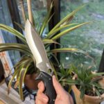 New knife day! Spyderco rock salt!