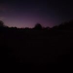 Sc28. Little thing is a ripper