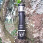 A feast for the eyes..